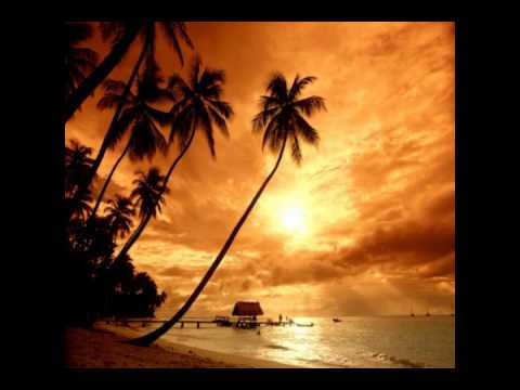 Soundstorm - Contact [Flyant Remix]