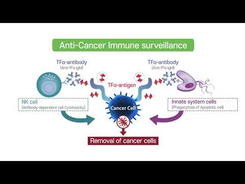 CorriX Introduction_Immune Surveillance functional food (코릭스 소개 동영상)
