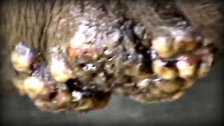 Titus (21) The WORST JIGGER CASE for 2016 (6 of 16)