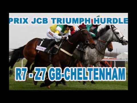 PROGNOSIS RACING  HORSE - 17 MARS 2017 -  GB-CHELTENHAM