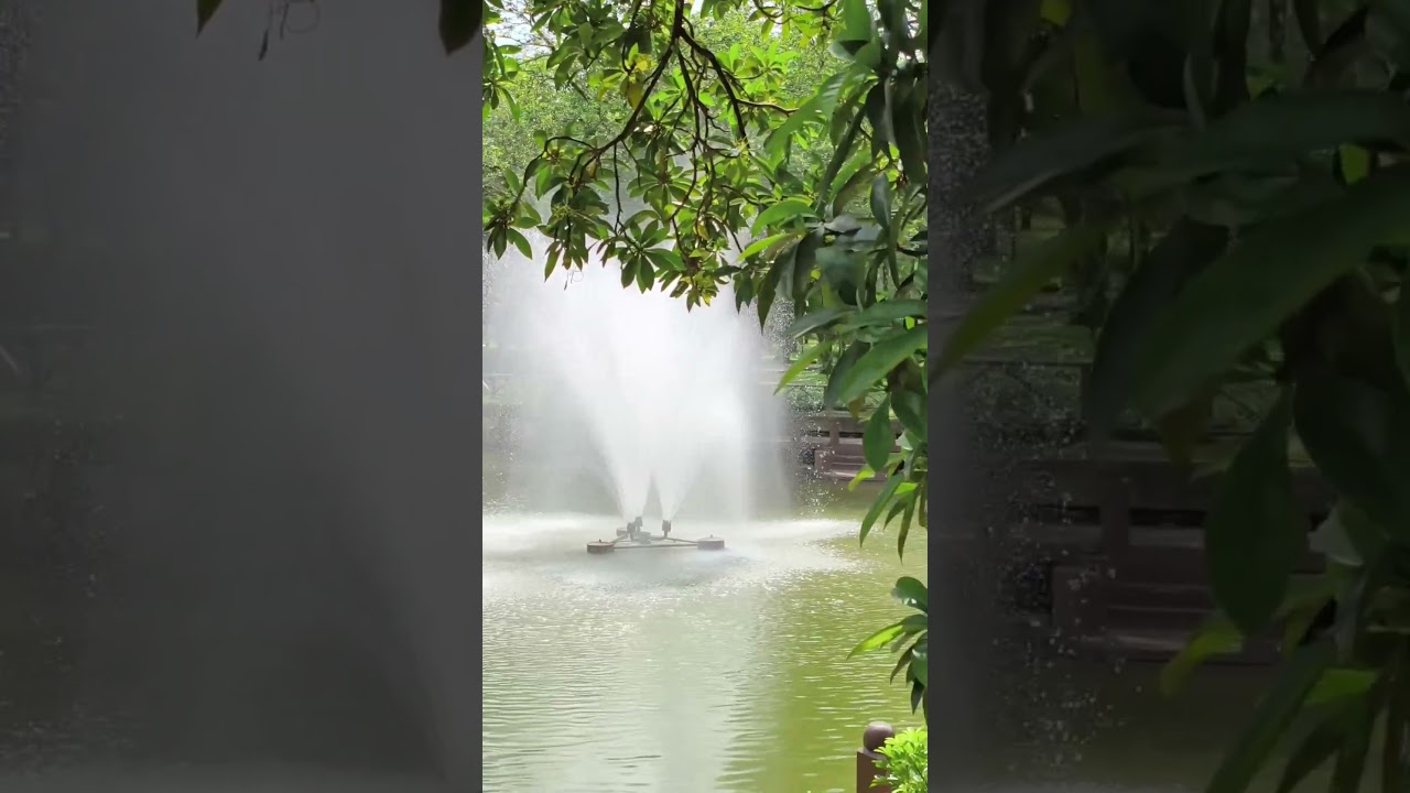 YouTube Short thumbnail