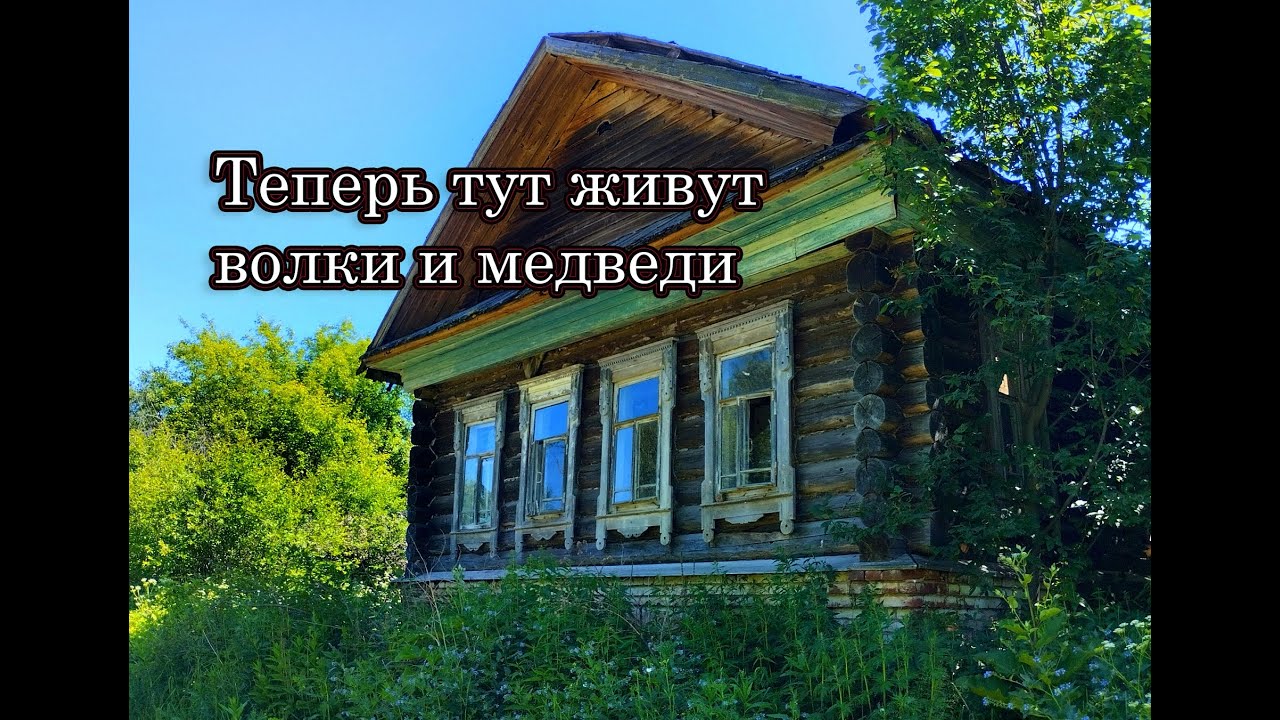 Тут жили сотни людей, теперь хозяева здесь дикие животные! Заброшенная дерев