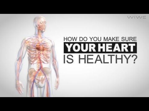 I will create custom medical 3d animation video