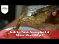 Bestie Ayo Cobain Dendeng Batokok Dilumuri Minyak Kelapa BIKIN LAPER 8 1 25 P3