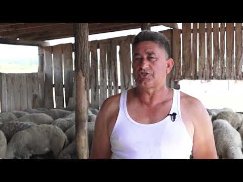 Agro karavan ep.189 - Višnjićevo - 15.08.2021.