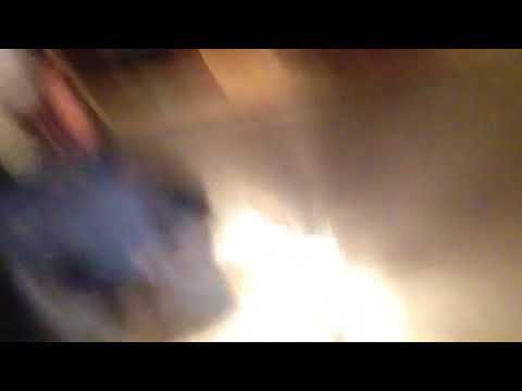 Rapid dog on the loose