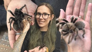 Holding Tarantulas, New Pets & Treating Some Sick Animals | Weekend Vlog