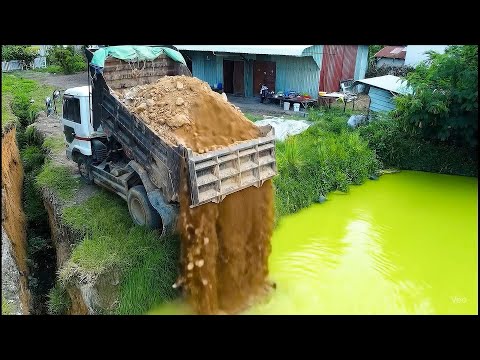 Bulldozer start landfall remove Pond by Bulldozer & Truck 5T