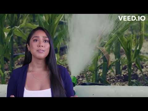 Meitnerium: Unveiling the Superheavy Element