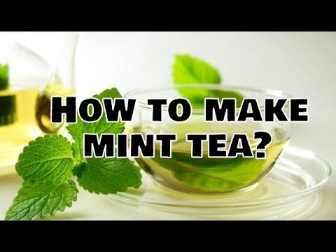 download lagu mp3 mp4 Green Tea And Mint Tea Bags, download lagu Green Tea And Mint Tea Bags gratis, unduh video klip Green Tea And Mint Tea Bags
