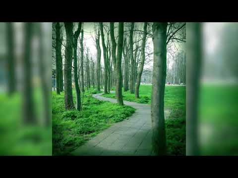 Ram Dass – Here and Now – Ep. 94 – Tracing Our Spiritual Journey