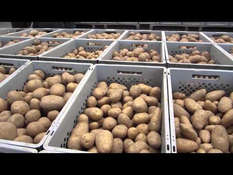 , title : 'Presentatie aardappelrassen'