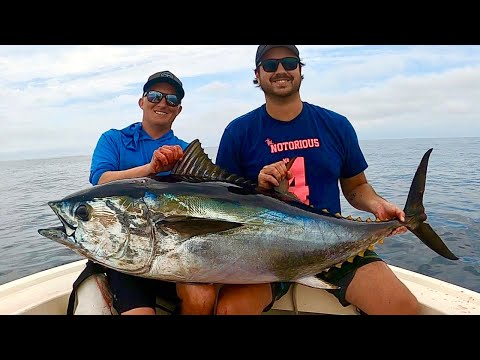 Catching Big Bluefin Tuna in Southern California on an 18ft Boat!! (Catch, Clean and Cook)