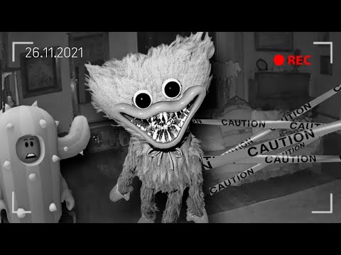 CACTUS FEEDS POPPY PLAYTIME IN HIS HOUSE (THING GOES WRONG)! HUGGY WUGGY - BROOKHAVEN RP - ROBLOX