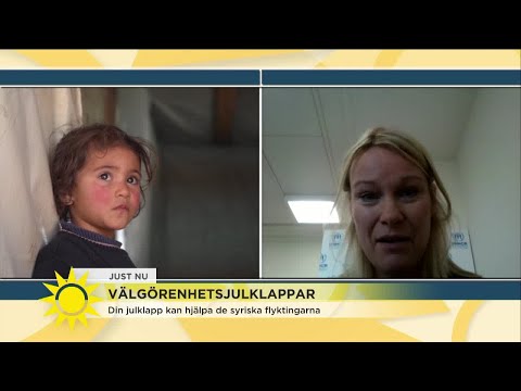 ”Pengarna går till kaminer, filtar eller bränsle i vinterkylan” - Nyhetsmorgon (TV4)