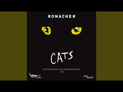 Auftritt Grizabella (Live)