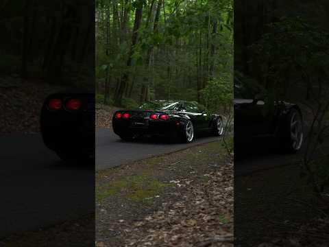 Corvette C5 in the wild