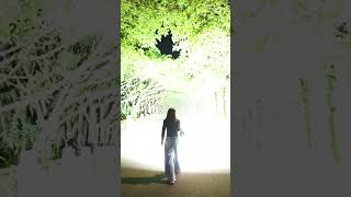 Download lagu Illuminate Your World with the MS32 Brightest Flashlight! mp3 Download lagu Illuminate Your World with the MS32 Brightest Flashlight! mp3