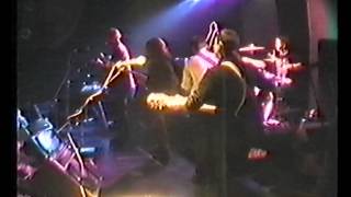 Able Tasmans  - Hey Spinner (live)