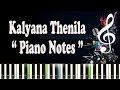 Ilayaraja Kalyana Thenila Mounam Sammadam Piano Notes MIDI Sheet Music Karaoke