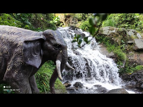 Chunnu Summer Falls | Rock Garden | On The Go