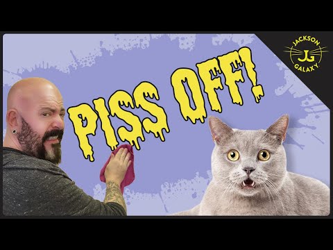 YouTube video about: How do you neutralize cat urine in soil?