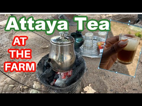 Village Farm cooking: Attaya Tea / Green Tea