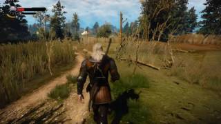 Мод "Последствия смерти" (к Ведьмак 3: Дикая охота \ The Witcher 3: Wild Hunt)
