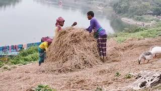 গ্রামের অপরূপ দৃশ্য || দেখলেই যেন প্রান জুড়িয়ে যায়।❤