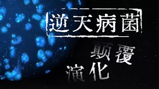 [問卦] 沒人發現宇宙至今找不到其他生命很可怕！