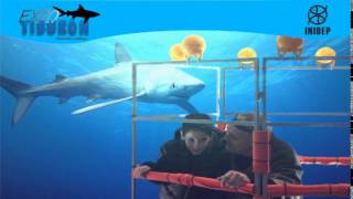 DIA 2 Expo Tiburon53