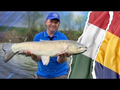 Géza Bolgár - The Amur of Lake Rădești