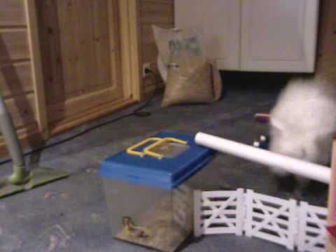 rampete bestevenn ! gjir seg aldri