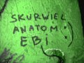 Świetliki - Freeeedom 