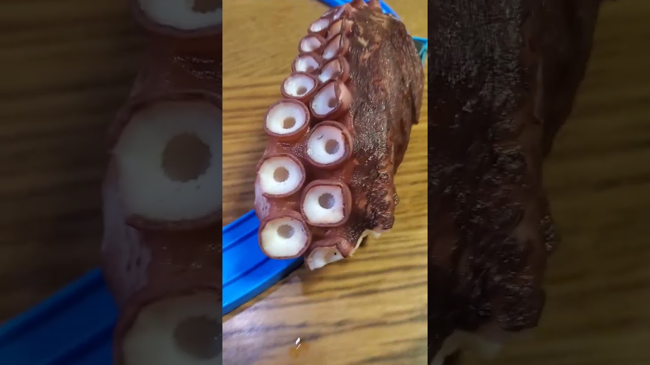 トーマスのタコタコタコ#shorts