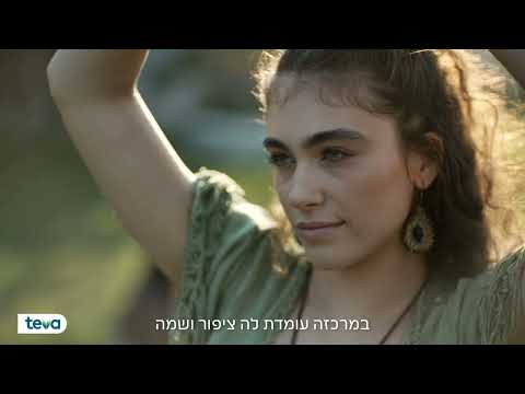 טבע- ציפור הנפש