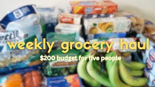 weekly grocery haul for 5 people (Costco + Aldi)