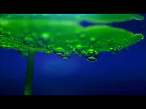 Tech D: Changes (Matter Remix)