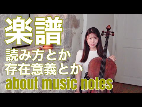 キノイトについて詳しく解説