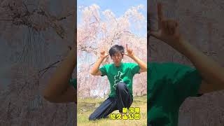 伊賀ぎゅーーー🐂🐂🐂 #三重県 #伊賀牛 #sakura #shorts