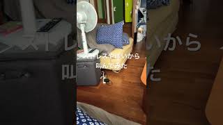 日常part1