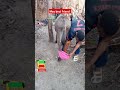 April 21 2025 Bestfriend Sidama Ethiocomedy Andinetmedia Tube Viralshorts