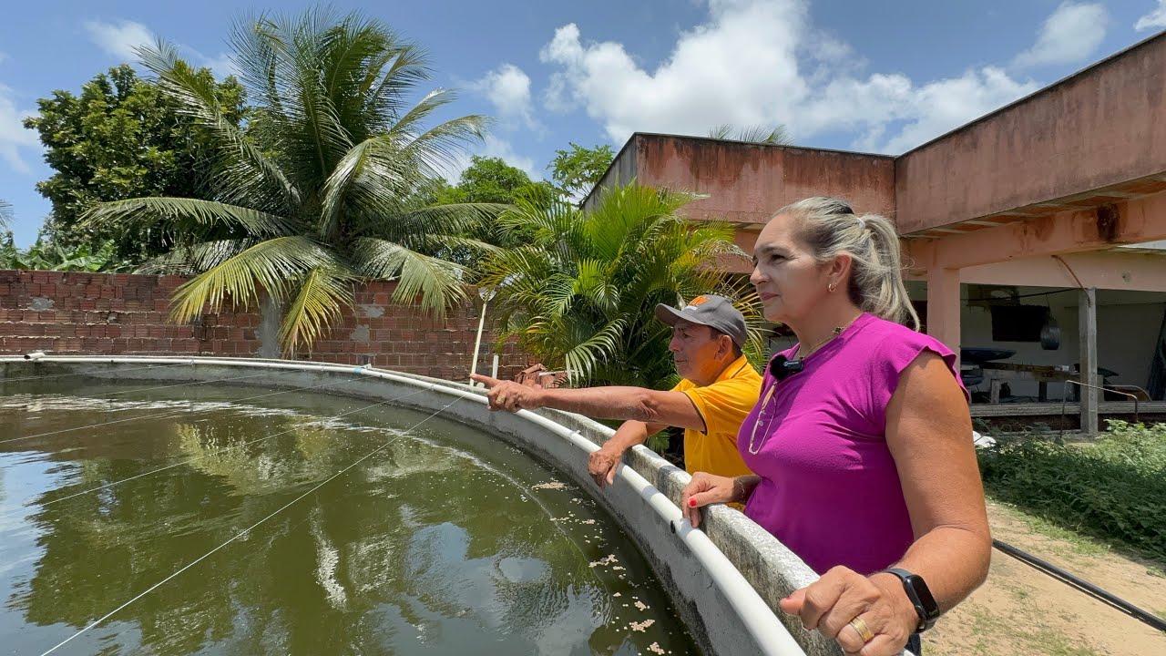 VEJA UM SÍTIO PRODUTIVO ALÉM DA PISCICULTURA