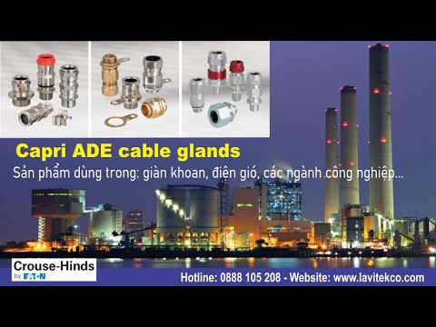ĐẦU NỐI CÁP (CABLE GLAND) CAPRI EATON