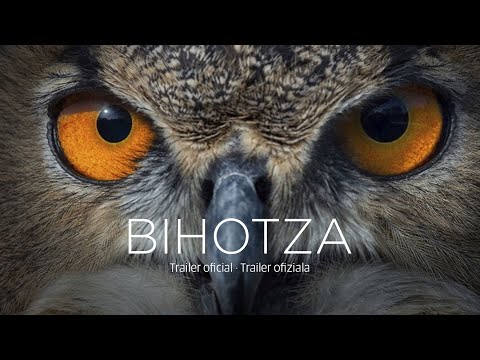 BIHOTZA (trailer) | Vital Fundazioa