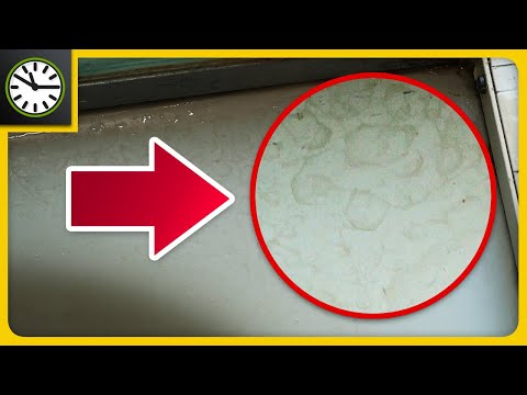 Kalk einfach entfernen - Mit Hausmitteln