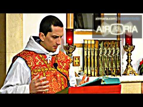 St. Stephen, Praying for Persecuted Christians - Dec 26 - Homily - Fr Matthias