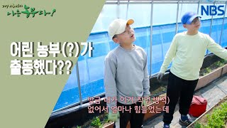 [열정 부부의 촌마을 허브 하우스] 향기 가득한 경민 씨네 농장