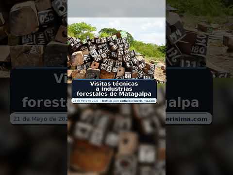 Visitas técnicas a industrias forestales de Matagalpa
