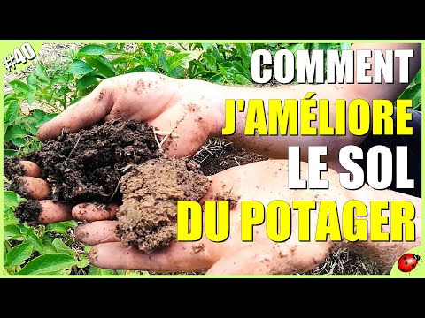 COMMENT AMÉLIORER LE SOL DE SON POTAGER (Édition 2019)